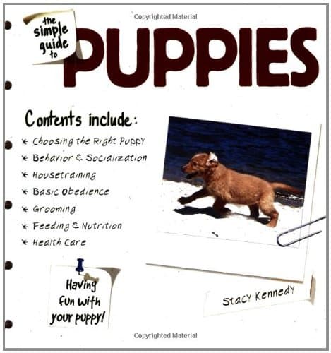 Book cover for The Simple Guide to Puppies by Stacy Kennedy