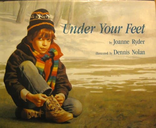 Book cover for Under Your Feet by Joanne Ryder