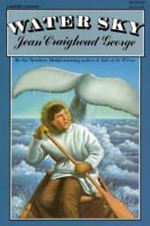 Book cover for Water sky by George, Jean Craighead