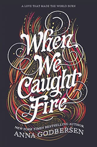Book cover for When We Caught Fire by Godbersen, Anna