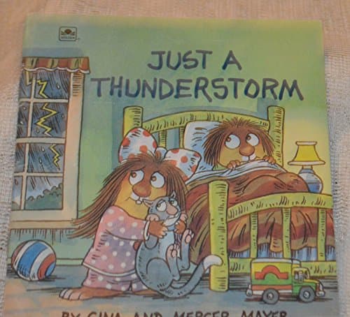 Book cover for Just a Thunderstorm (A Golden Little Look-Look Book) by Mayer, Gina