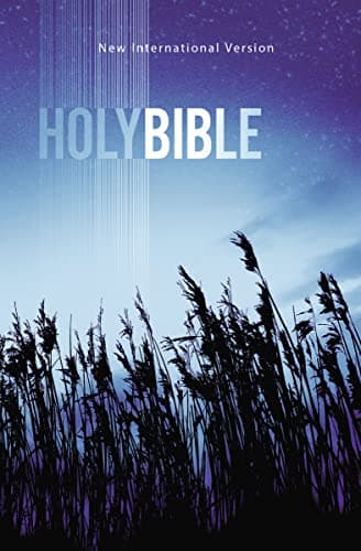 Book cover for NIV, Value Outreach Bible, Paperback by Zondervan