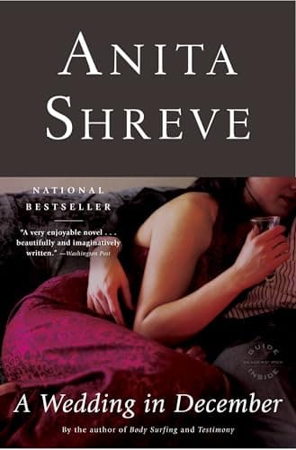 Book cover for A Wedding in December by Shreve, Anita