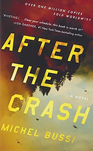 Book cover for After the Crash: A Novel by Bussi, Michel