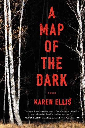 Book cover for A Map of the Dark (The Searchers, 1) by Ellis, Karen