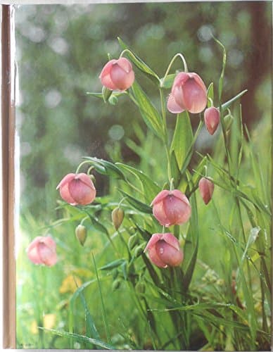 Book cover for Wildflower Gardening by Crockett, James Underwood
