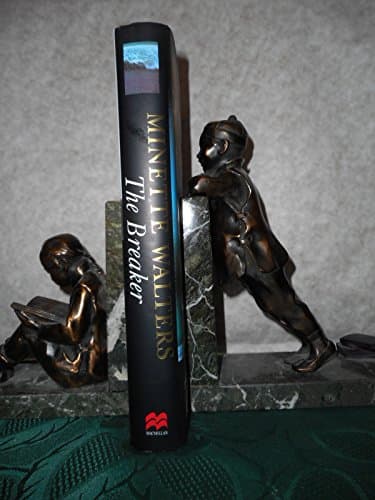 Book cover for The breaker by Walters, Minette