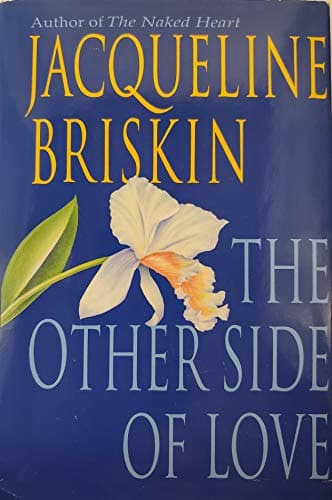 Book cover for The Other Side of Love by Briskin, Jacqueline