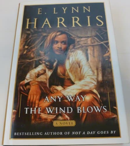 Book cover for Any Way the Wind Blows: A Novel by Harris, E. Lynn