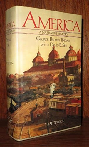 Book cover for America: A Narrative History by David E. Shi George Brown Tindall