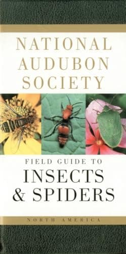 Book cover for National Audubon Society Field Guide to Insects and Spiders: North America by National Audubon Society