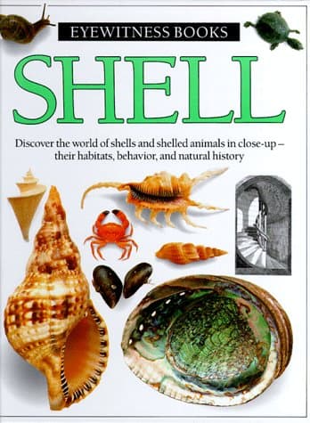 Book cover for Shell by Dorling Kindersley Ltd