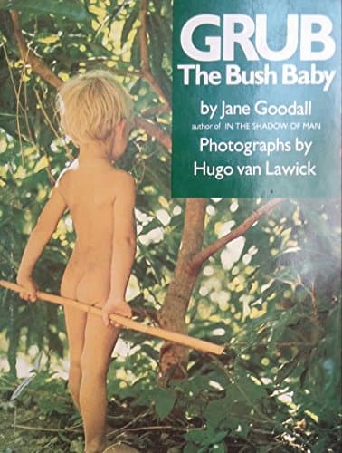 Book cover for Grub, the Bush Baby by Goodall, Jane