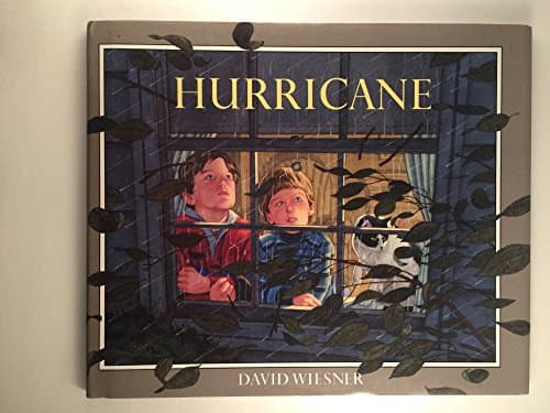 Book cover for Hurricane by Wiesner, David