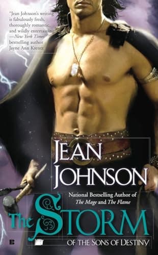 Book cover for The Storm (Sons of Destiny) by Johnson, Jean