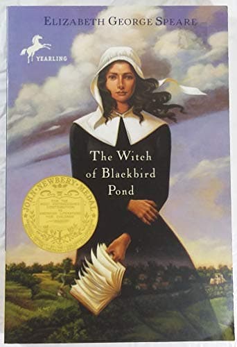 Book cover for The Witch of Blackbird Pond by Speare, Elizabeth George