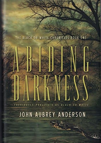 Book cover for Abiding Darkness (The Black or White Chronicles Series) by Anderson, John Aubrey