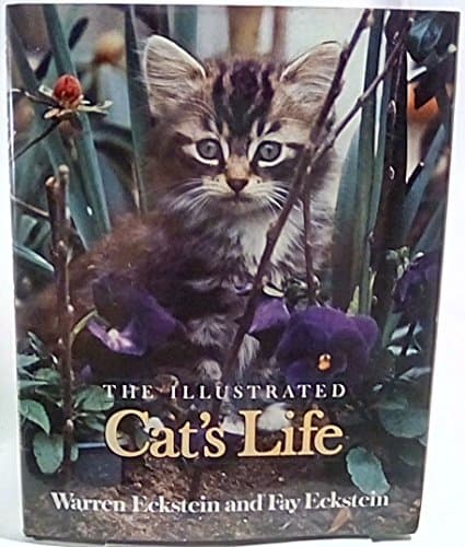 Book cover for The Illustrated Cat's Life by Eckstein, Warren