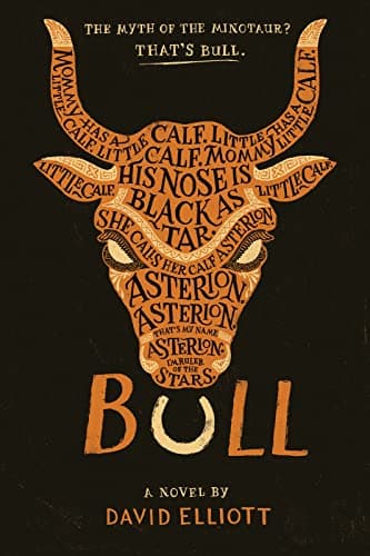 Book cover for Bull by Elliott, David