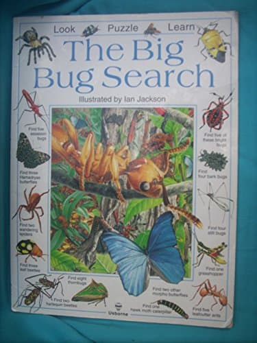 Book cover for The Big Bug Search by Usborne Publishing Ltd.