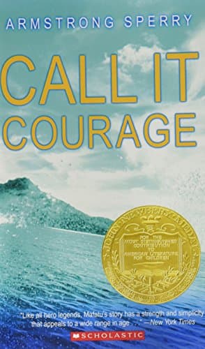 Book cover for Call It Courage by Sperry, Armstrong