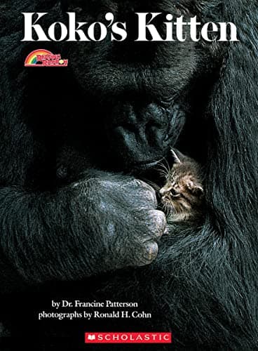 Book cover for Koko's Kitten (Rise and Shine) by Dr. Francine Patterson