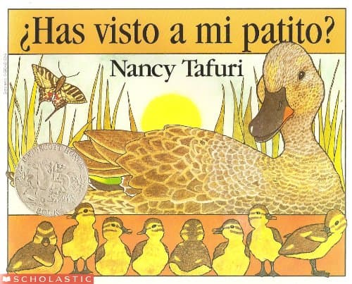 Book cover for ¿Has visto a mi patito? by Nancy Tafuri
