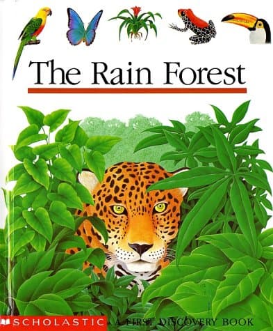 Book cover for The Rain Forest by Jeunesse, Gallimard