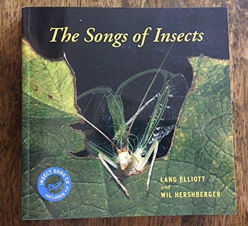 Book cover for The Songs of Insects by Elliott, Lang