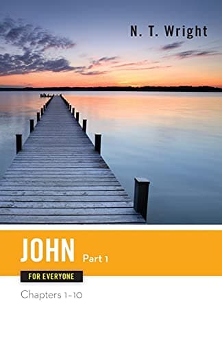 Book cover for John for Everyone, Part 1 (The New Testament for Everyone) by Tom Wright