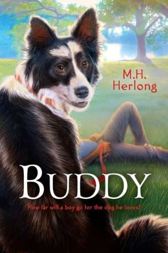 Book cover for Buddy by Herlong, M.H.