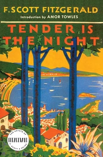 Book cover for Tender Is the Night (Cover May Vary) by Fitzgerald, F. Scott
