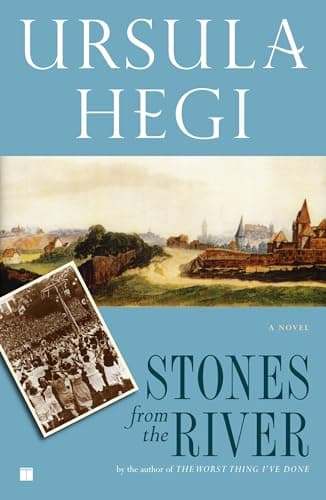 Book cover for Stones from the River by Hegi, Ursula