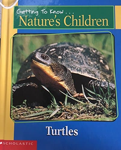 Book cover for Getting to Know Nature's Children Turtles/Bees by Switzer, Merebeth