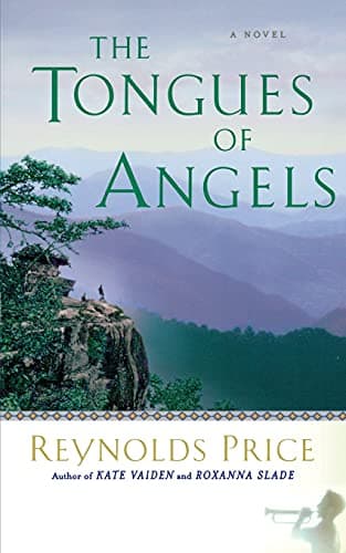 Book cover for The Tongues of Angels: A Novel by Price, Reynolds