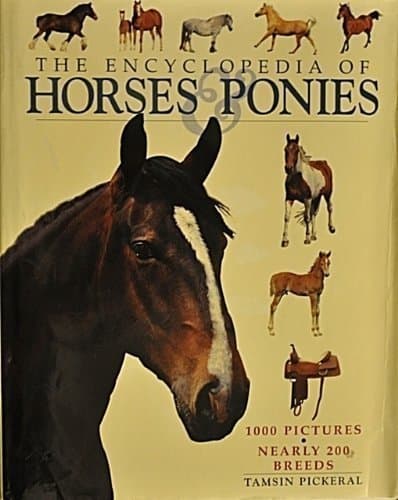 Book cover for Horses & Ponies (Encyclopedias of Animal Breeds) by Tamsin Pickeral