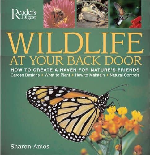 Book cover for Wildlife at Your Back Door by Amos, Sharon