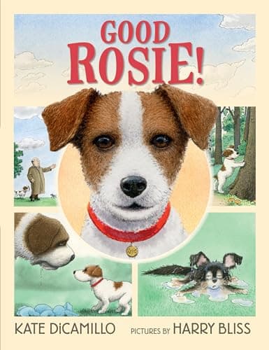 Book cover for Good Rosie!: (A Sweet and Funny Picture Book About Dogs, Friendship, and Social Skills - For Kids Ages 5-8 in Grades K-3) by DiCamillo, Kate
