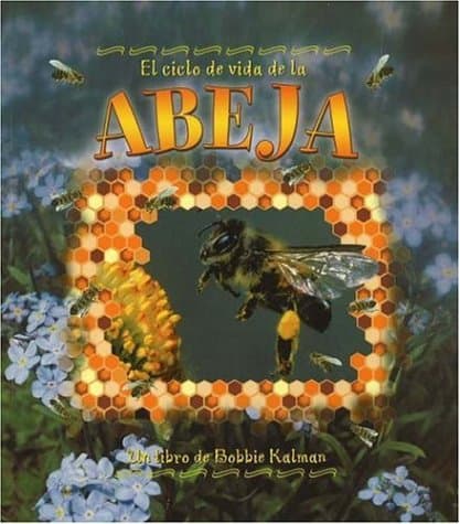 Book cover for El Ciclo de Vida de la Abeja (the Life Cycle of a Honeybee) (Ciclo De Vida / The Life Cycle) (Spanish Edition) by Kalman, Bobbie