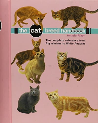 Book cover for Cat Breed Handbook: The Complete Reference from Abyssinians to Siamese by Rixon, Angela