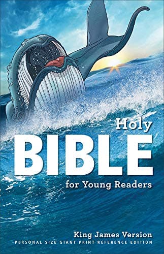 Book cover for KJV Bible for Young Readers by Baker Publishing Group