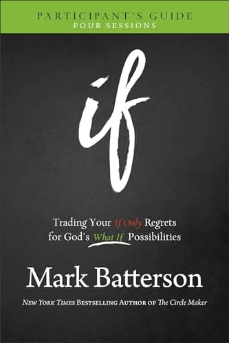 Book cover for If Participant's Guide: Trading Your If Only Regrets for God's What If Possibilities by Mark Batterson
