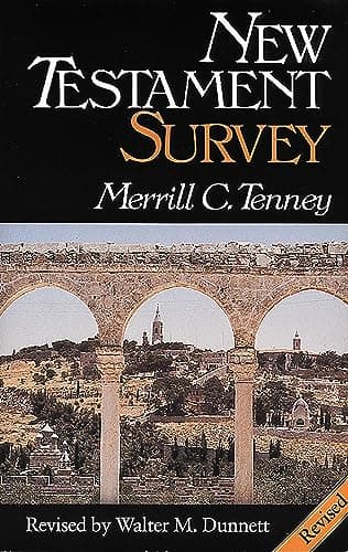 Book cover for New Testament Survey by Tenney, Merrill C.