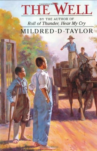 Book cover for The Well: David's Story by Taylor, Mildred D.