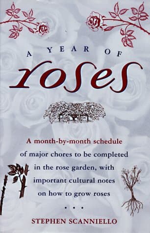 Book cover for A Year of Roses by Scanniello, Stephen