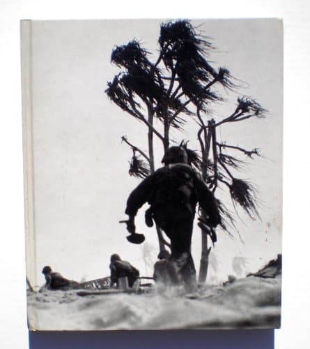 Book cover for Island fighting (World War II) by Steinberg, Rafael