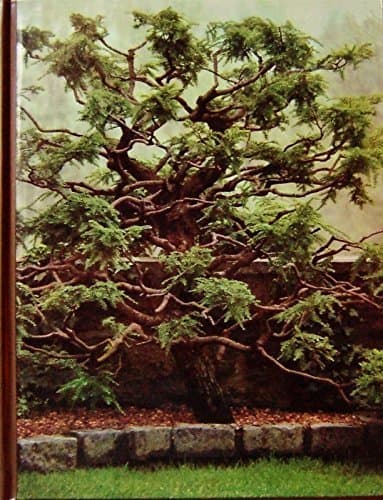 Book cover for Pruning and grafting (The Time-Life encyclopedia of gardening) by Allen, Oliver E.