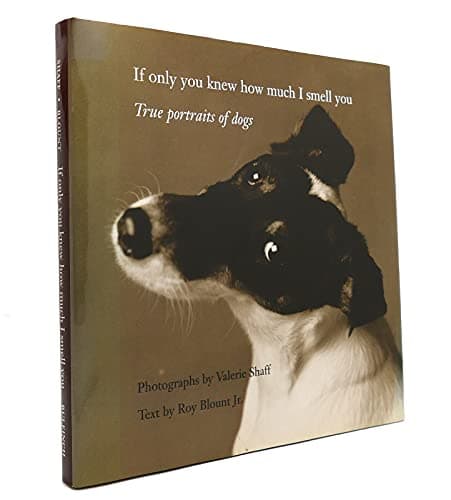 Book cover for If Only You Knew How Much I Smell You: True Portraits of Dogs by Shaff, Valerie