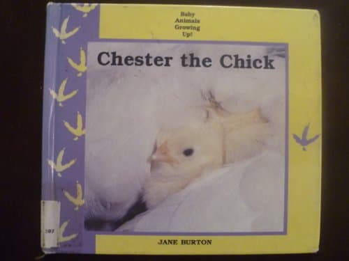 Book cover for Chester the Chick (Baby Animals Growing Up) by Burton, Jane