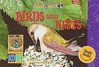 Book cover for Birds Build Nests (How & Why) by Pascoe, Elaine